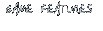 Game Features